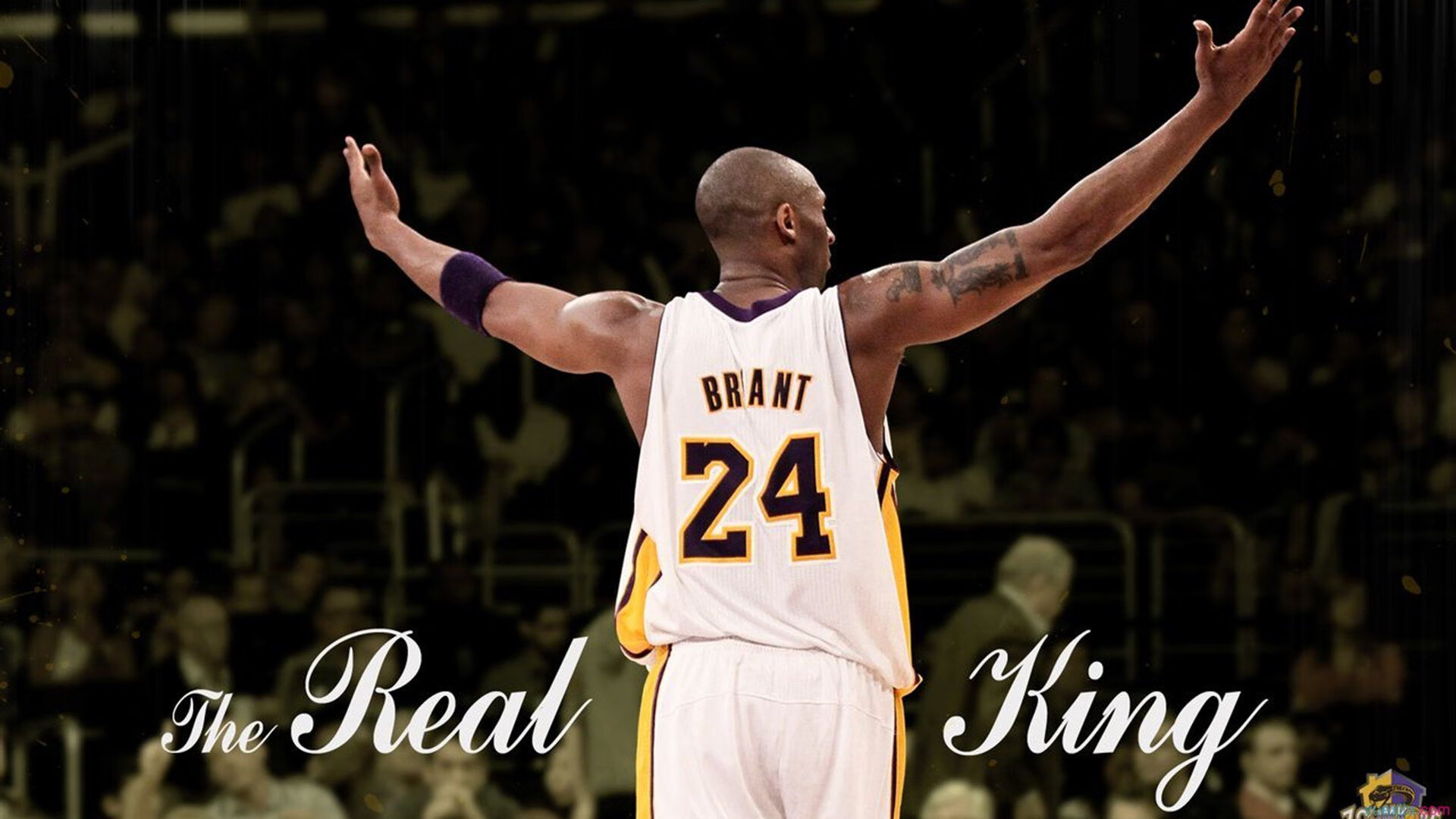 校园体育场馆智能化维护与节能管理研究，体育场馆智慧化建设